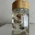 Casinha Da Ilha No Hébergement de vacances
